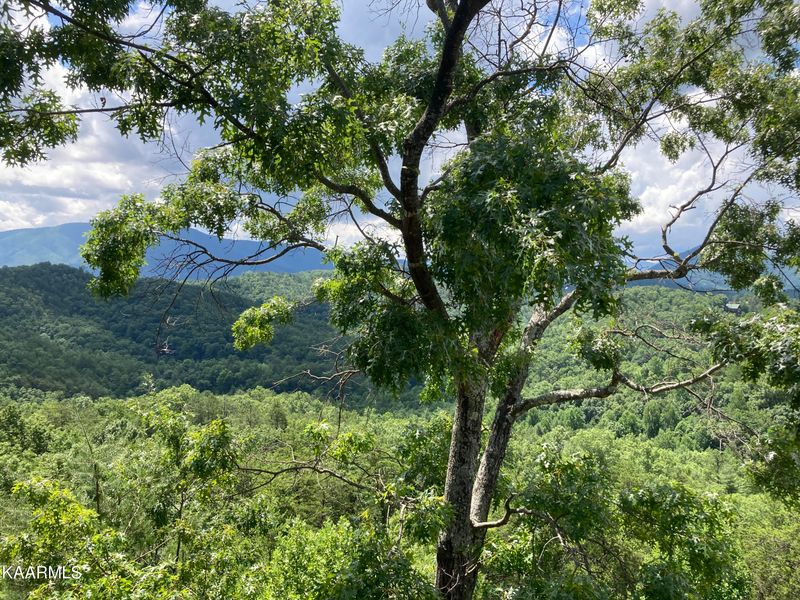 2818 White Oak Ridge Ln, Sevierville, TN 37862