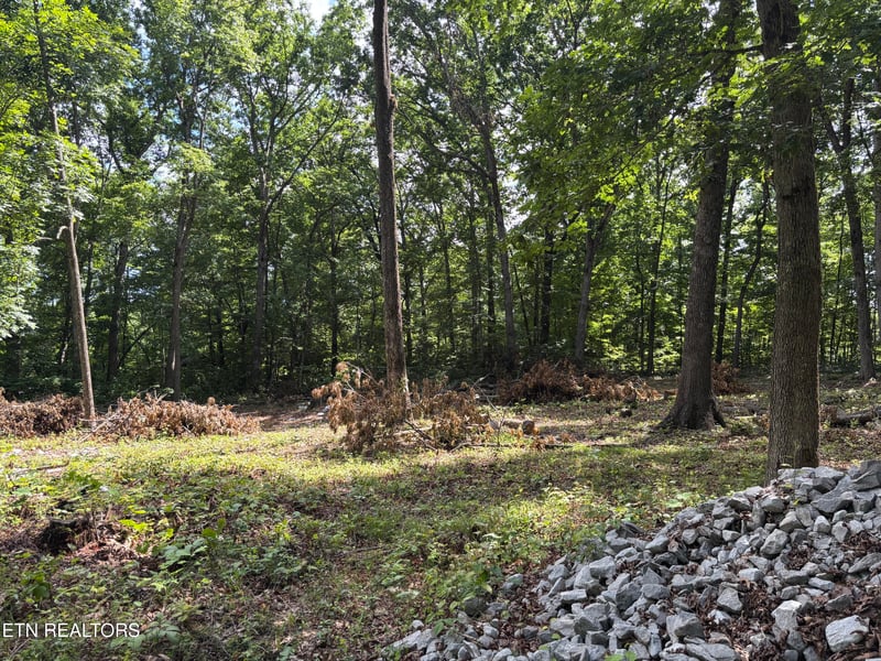 282 Morgan Cir, Crossville, TN 38572