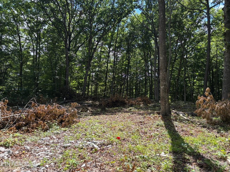282 Morgan Cir, Crossville, TN 38572