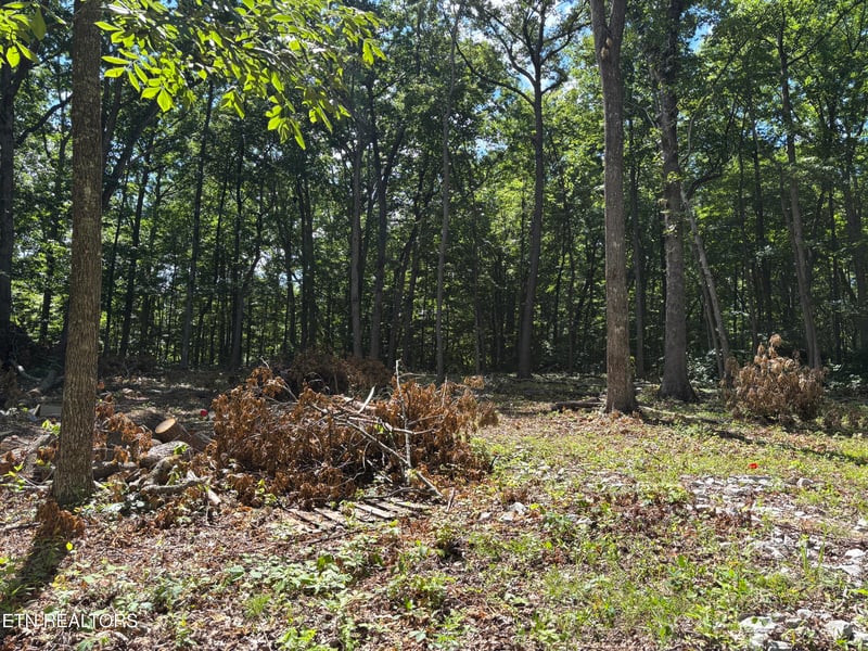 282 Morgan Cir, Crossville, TN 38572
