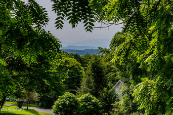 2825 P V T Way, Dandridge, TN 37725