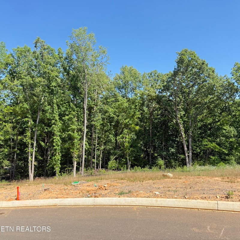 2828 SW Shorewoood Point, Morristown, TN 37813