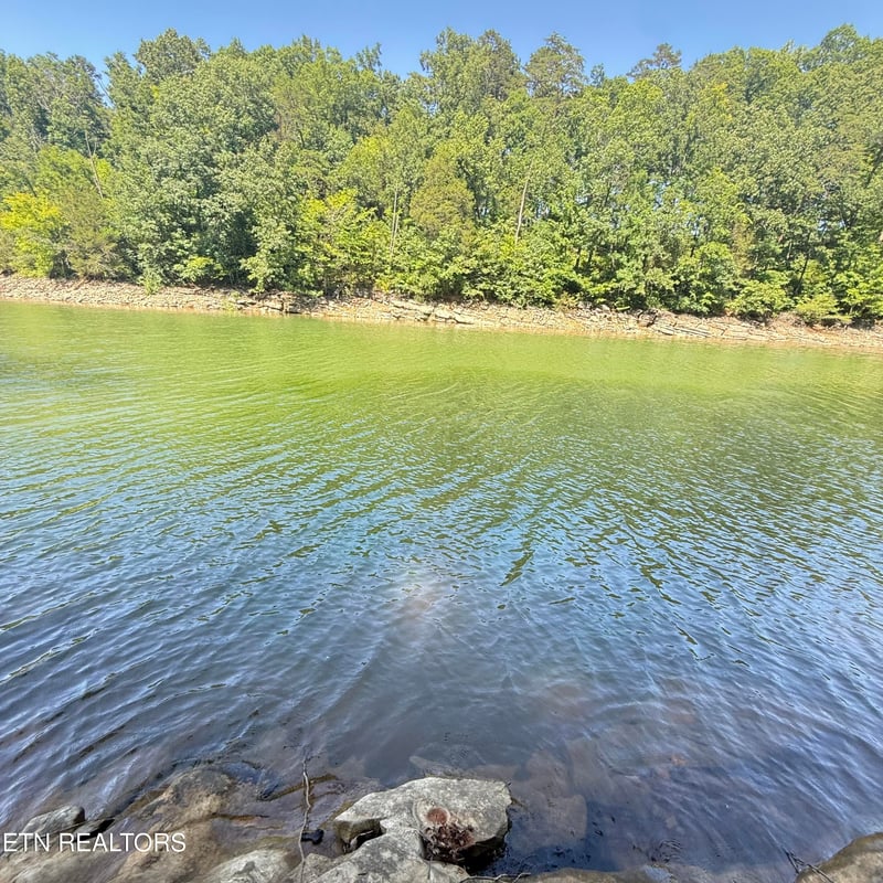 2828 SW Shorewoood Point, Morristown, TN 37813