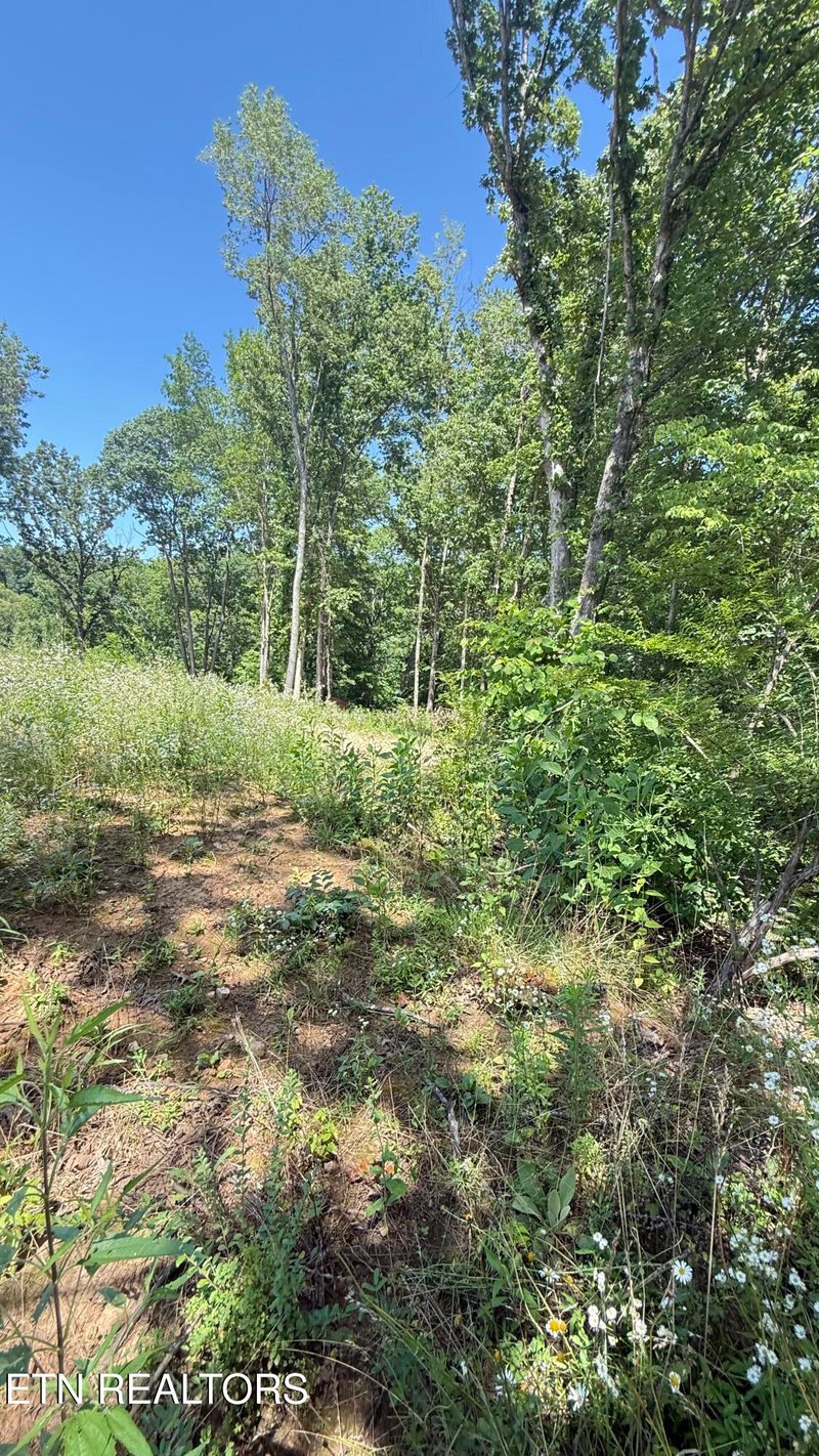 2828 SW Shorewoood Point, Morristown, TN 37813