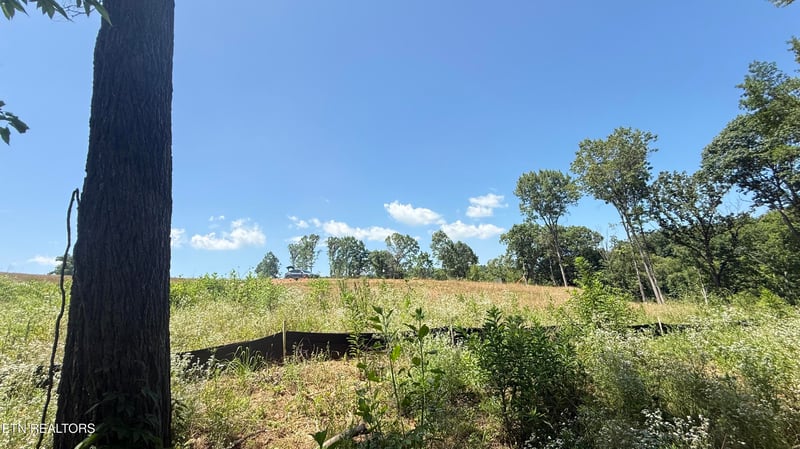 2828 SW Shorewoood Point, Morristown, TN 37813