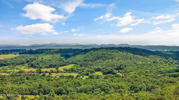 283 County Road 334, Niota, TN 37826
