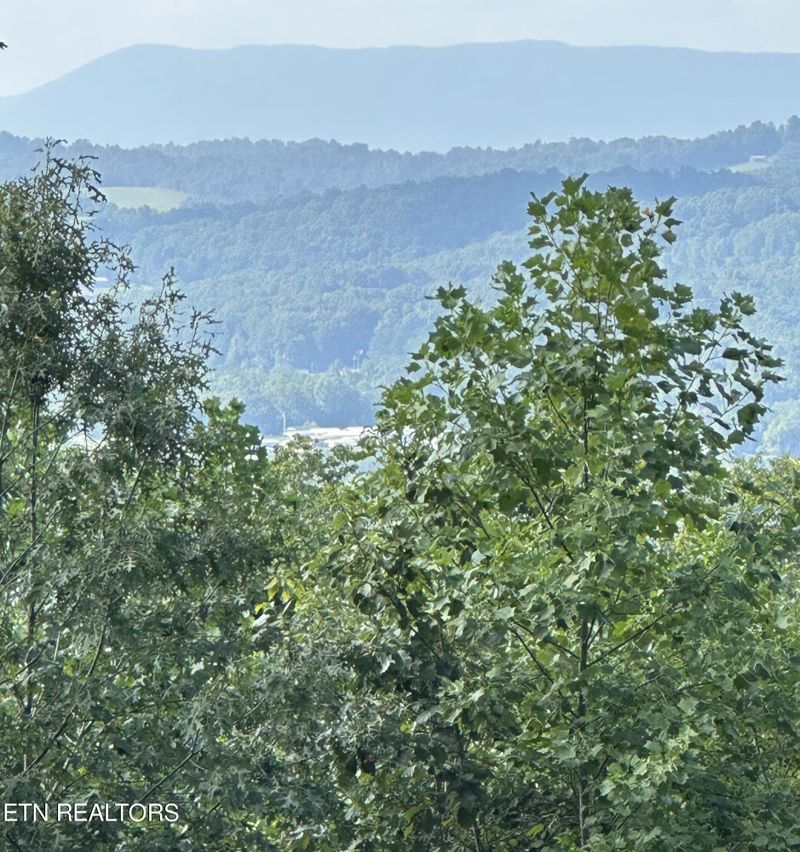 283 Tumbling Run Est, Maynardville, TN 37807