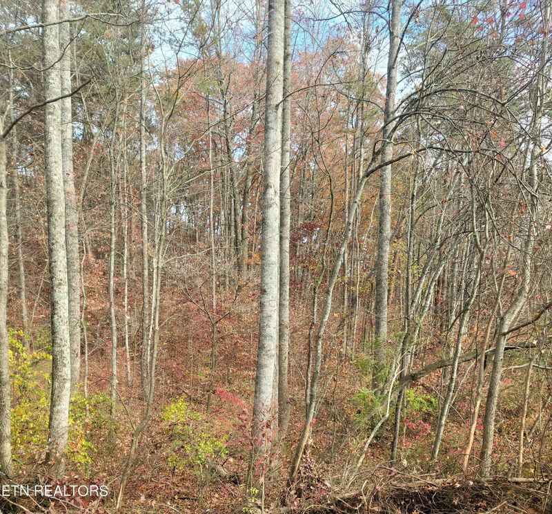 2834D Barnard Rd, Knoxville, TN 37921