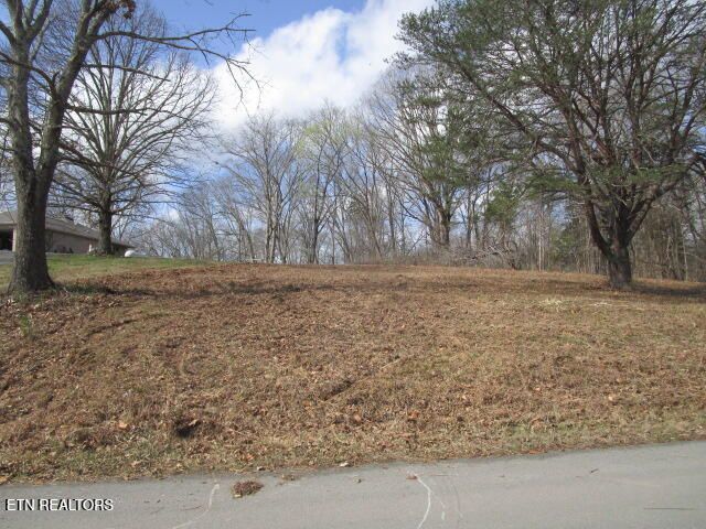 285 Mckinney Rd, Blaine, TN 37709