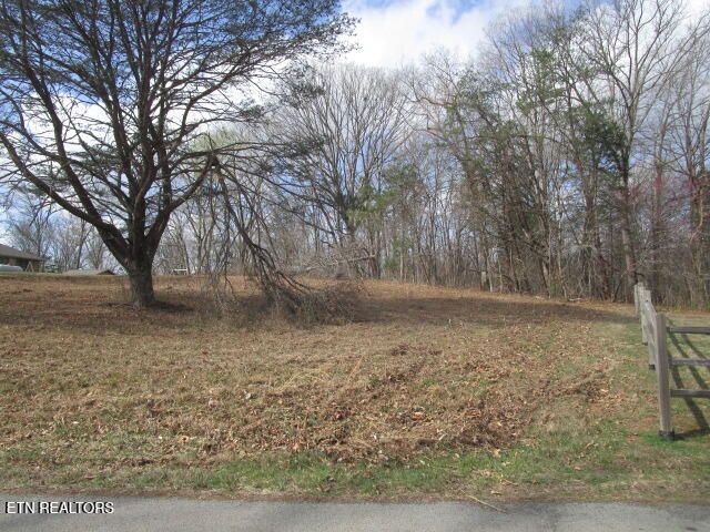 285 Mckinney Rd, Blaine, TN 37709
