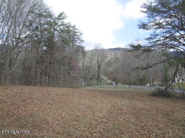 285 Mckinney Rd, Blaine, TN 37709