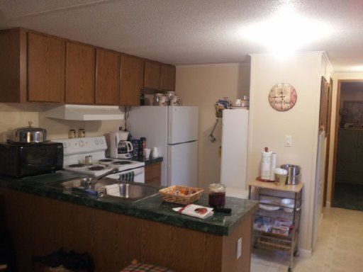 285 Shadow Ln, Rutledge, TN 37861