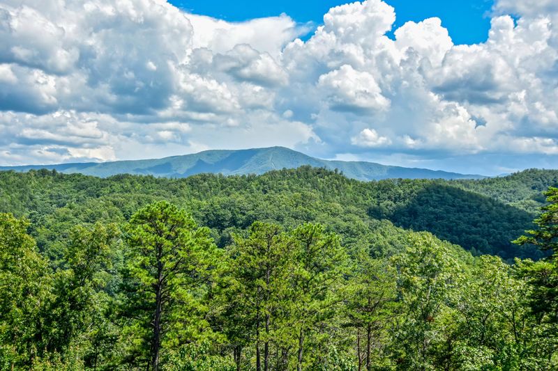2852 White Oak Ridge Ln, Sevierville, TN 37862