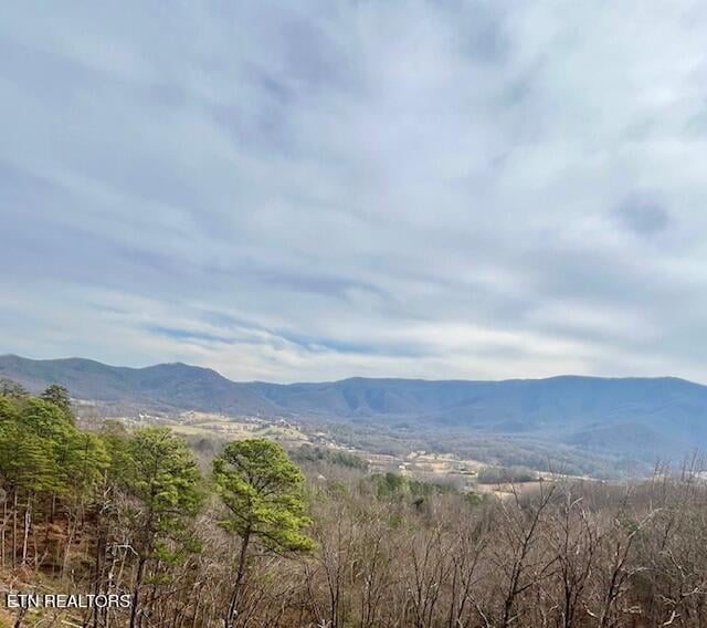 2861 Indigo Ln, Sevierville, TN 37862