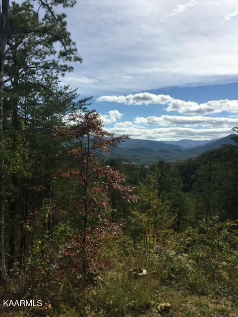 2865 Indigo Ln, Sevierville, TN 37862