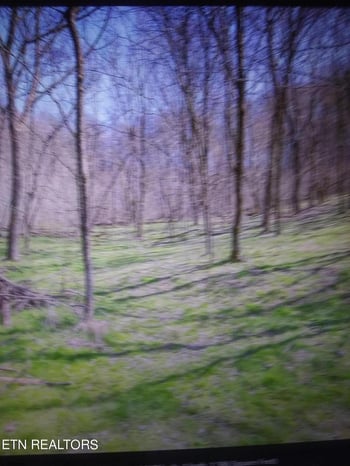 287 Edith Ln, Washburn, TN 37888