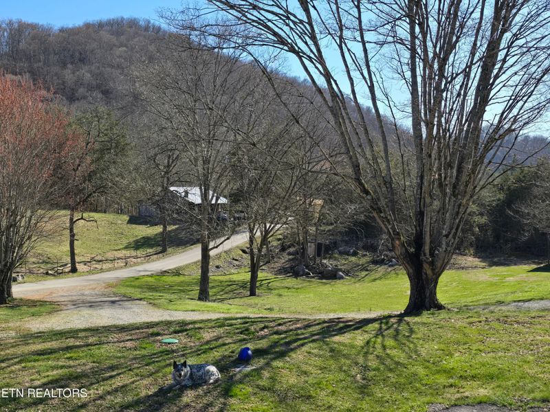 2885 Dry Valley Rd, Thorn Hill, TN 37881