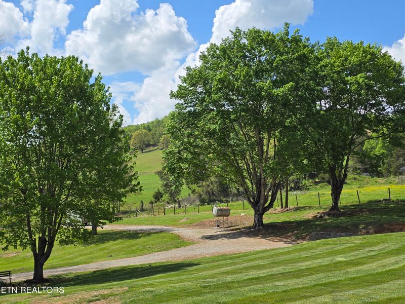 2885 Dry Valley Rd, Thorn Hill, TN 37881