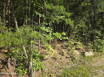 29 Byron Ln, Crossville, TN 38558