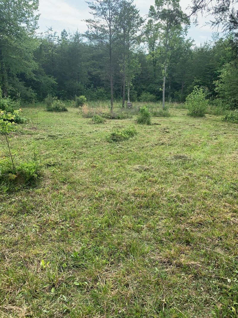 29.38 ac Cagle Rd, Tellico Plains, TN 37385
