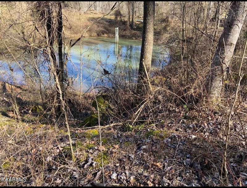 290 Hickory Springs Rd, Washburn, TN 37888