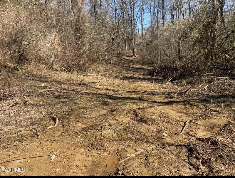 290 Hickory Springs Rd, Washburn, TN 37888