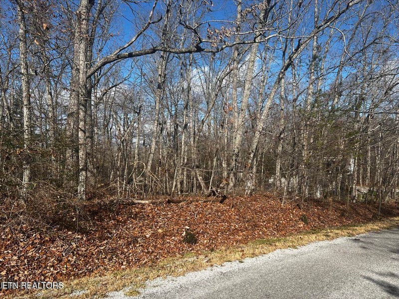 290 Kings Down Dr, Crossville, TN 38558