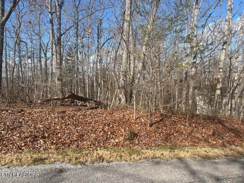 290 Kings Down Dr, Crossville, TN 38558