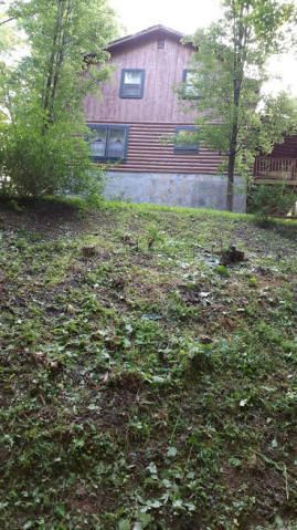 2900 Buffalo Rd, Oneida, TN 37841