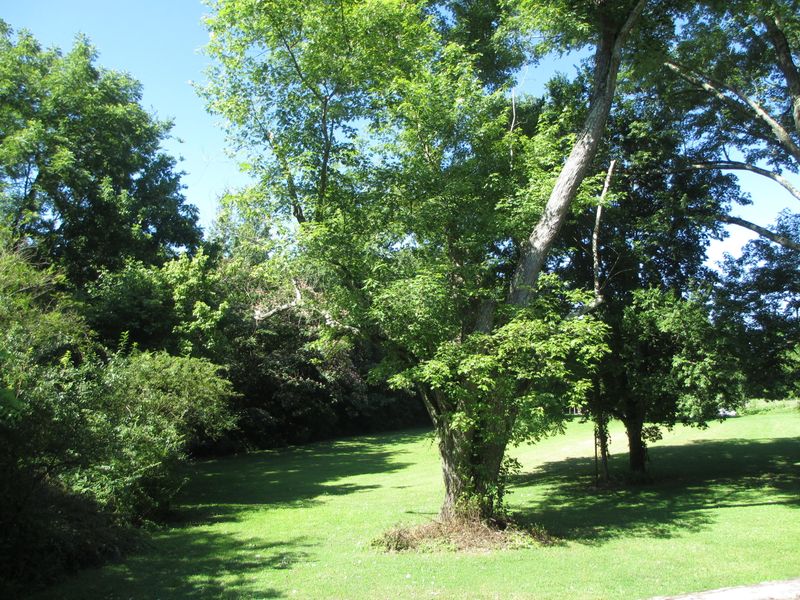 2901 Roseberry Rd, Mascot, TN 37806
