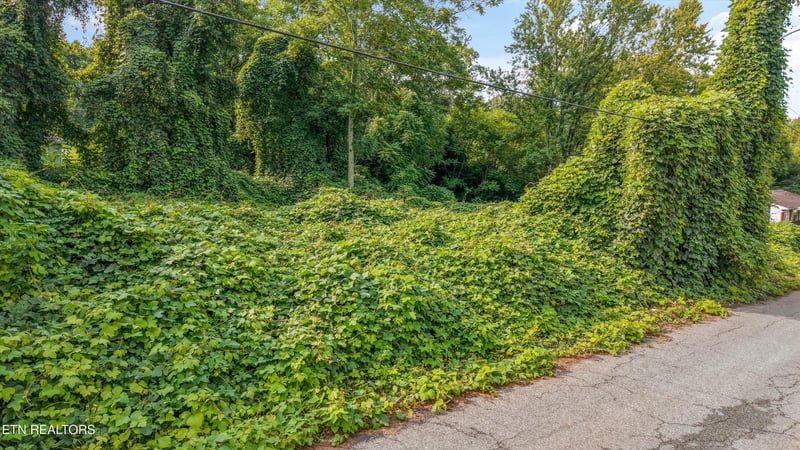 2904 Sunset Ave, Knoxville, TN 37914