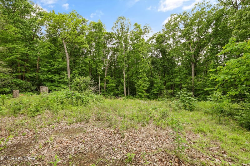 2915 Curtis Ln, Knoxville, TN 37918