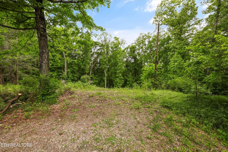 2915 Curtis Ln, Knoxville, TN 37918