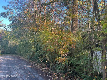 2917 Brooks Ave, Knoxville, TN 37914