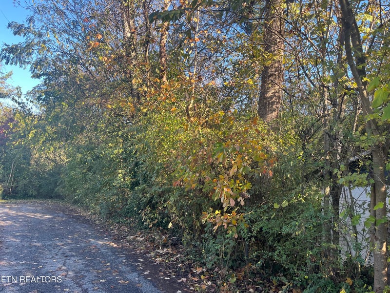 2917 Brooks Ave, Knoxville, TN 37914