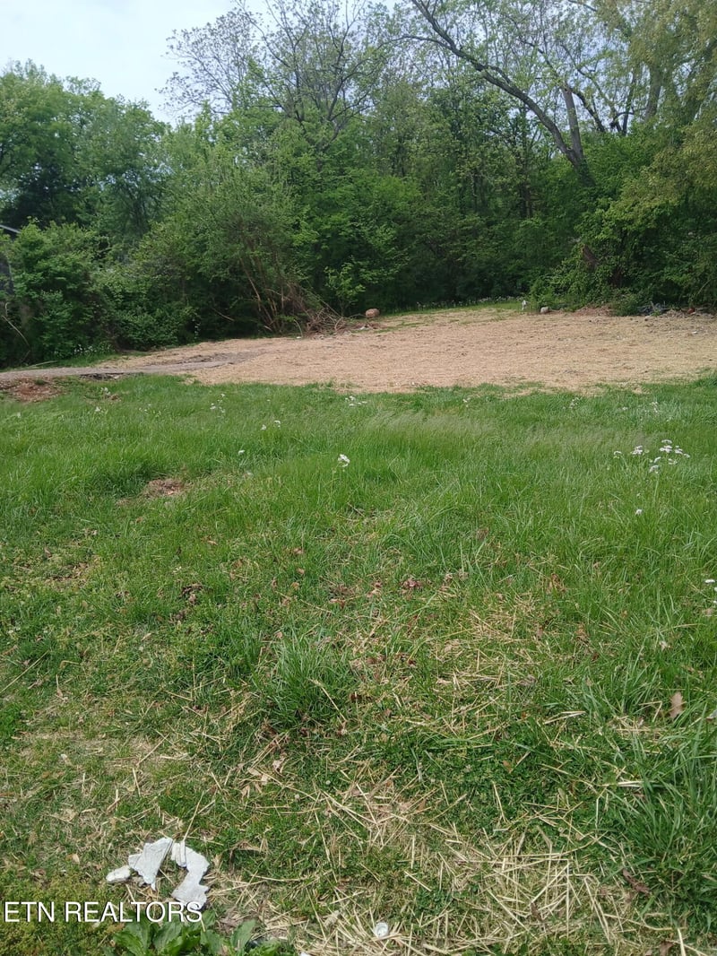 2919 Edgewood Ave, Knoxville, TN 37917