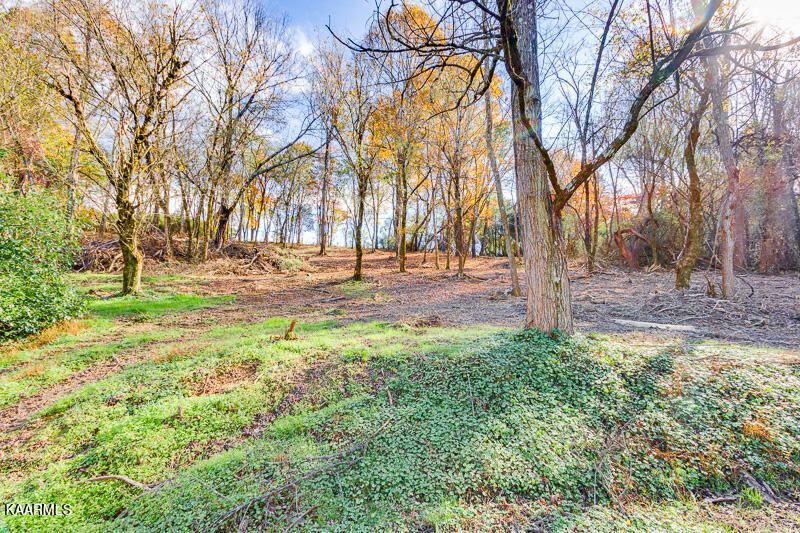 295 Carroll Hollow Rd #2, Clinton, TN 37716
