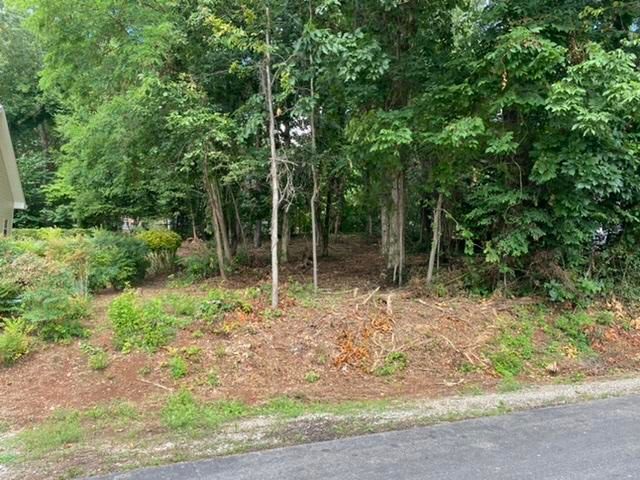 295 Cheestana Way, Loudon, TN 37774