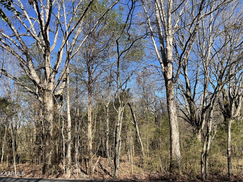 295 Elohi Way, Loudon, TN 37774