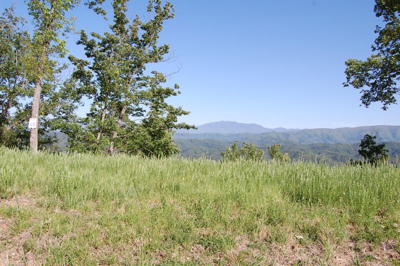 2950 Smoky Bluff Trl, Sevierville, TN 37862