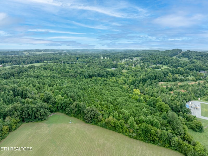 2958 W Lamar Alexander Pkwy, Friendsville, TN 37737