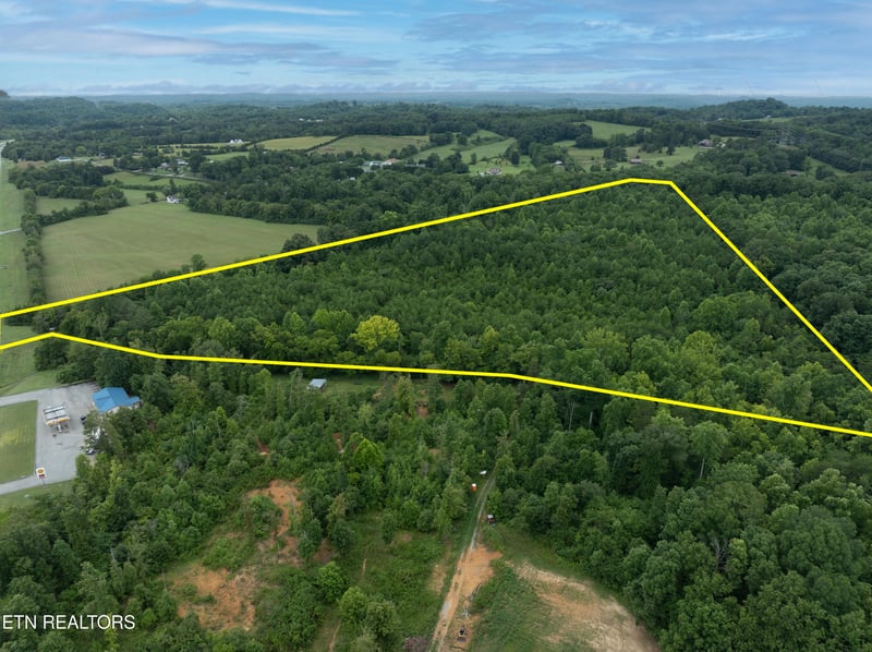 2958 W Lamar Alexander Pkwy, Friendsville, TN 37737