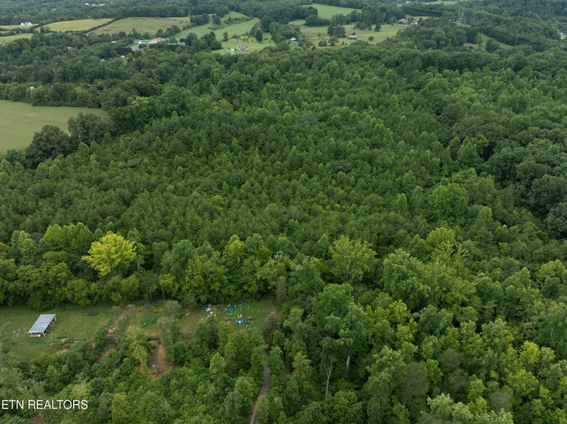 2958 W Lamar Alexander Pkwy, Friendsville, TN 37737