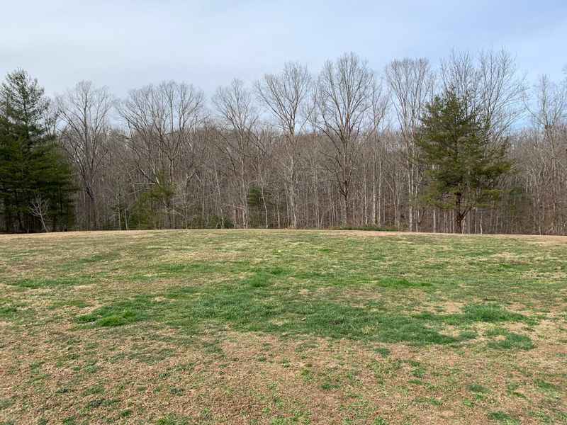 296 Hugh Jones Rd, Sunbright, TN 37872