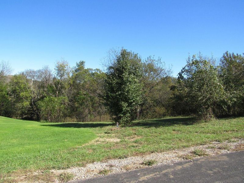 296 Walelu Tr, Vonore, TN 37885