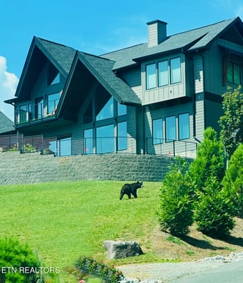2975 Summit Trails Dr, Sevierville, TN 37862
