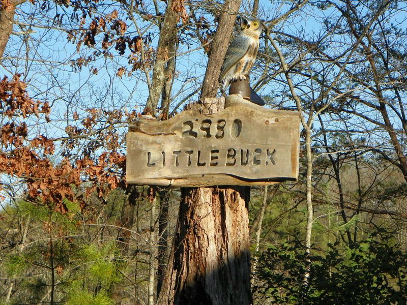 2980 Drue Fox Way, Sevierville, TN 37876