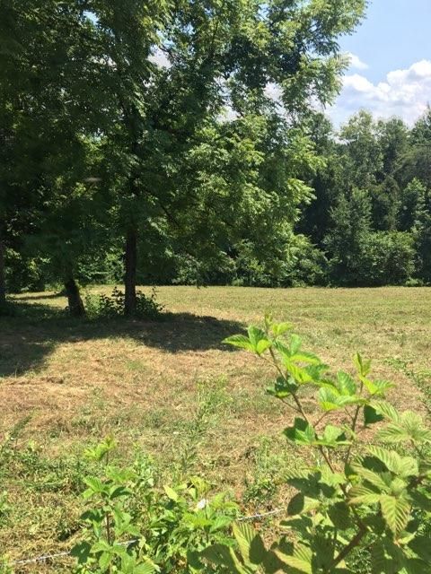 3 Dunsmore Rd, Lenoir City, TN 37771