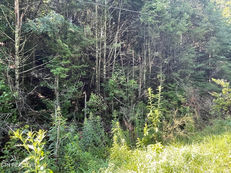 3 Point Road Lots 7 8 9, Vonore, TN 37885
