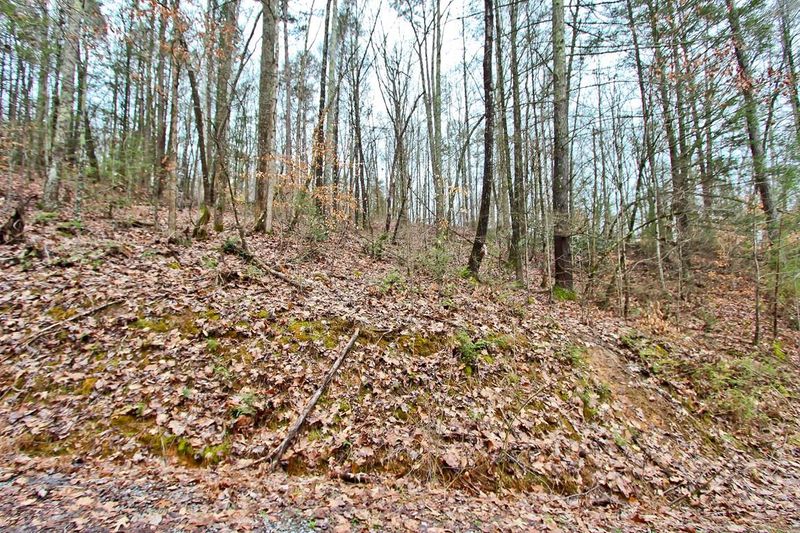 3.12 Ac Clayton Way, Sevierville, TN 37864